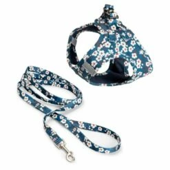 Basic Blossom Kattesele + Kobbel Blå