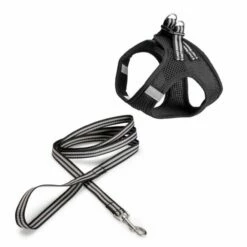 Basic Cat Sporty Kattesele + Kobbel Svart