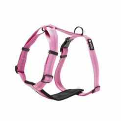 Basic First Y-sele Fiolett