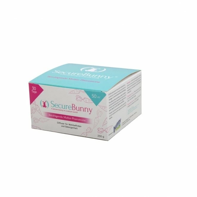 Bunny Nature Secure Bunny 1 Bunny Nature Secure Bunny