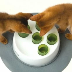 Catit Senses 2.0 Digger -Kjæledyrutstyr Salg 2024 catit senses 20 digger cc