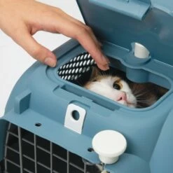 Catit Transportbur Blå/Grå -Kjæledyrutstyr Salg 2024 catit transportbur bla gra 54