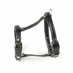 Feel Leather Meow Kattsele I Läder