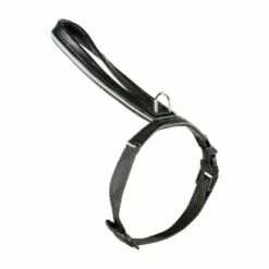 Feel Leather Purrr Kattesele I Skinn Svart