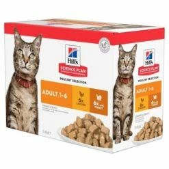 Hill's Sciene Plan Cat Adult Chicken & Turkey 12x85 G