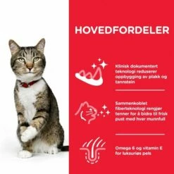 Hill's Science Plan Cat Adult Oral Care Chicken -Kjæledyrutstyr Salg 2024 hills science plan cat adult oral care chicken 4f