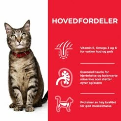 Hill's Science Plan Cat Adult Tuna -Kjæledyrutstyr Salg 2024 hills science plan cat adult tuna ba