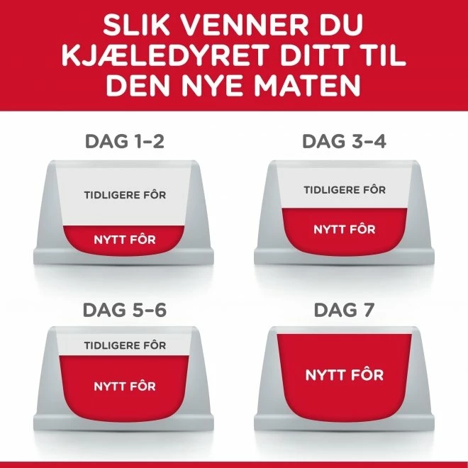 Hill's Science Plan Cat Adult Hairball Indoor Chicken 4 Hill's Science Plan Cat Adult Hairball Indoor Chicken - Bilde 4