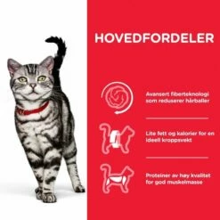 Hill's Science Plan Cat Adult Hairball Indoor Chicken 7 Hill's Science Plan Cat Adult Hairball Indoor Chicken -Kjæledyrutstyr Salg 2024 hills science plan cat hairball indoor chicken 6d