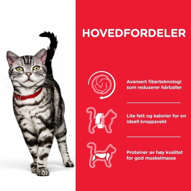 Hill's Science Plan Cat Adult Hairball Indoor Chicken 3 Hill's Science Plan Cat Adult Hairball Indoor Chicken - Bilde 3