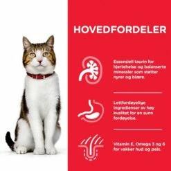 Hill's Science Plan Cat Mature 7+ Chicken -Kjæledyrutstyr Salg 2024 hills science plan cat mature 7 chicken 3f