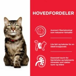 Hill's Science Plan Cat Mature 7+ Hairball Indoor Chicken 7 Hill's Science Plan Cat Mature 7+ Hairball Indoor Chicken -Kjæledyrutstyr Salg 2024 hills science plan cat mature 7 hairball chicken ba