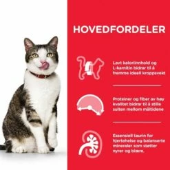 Hill's Science Plan Cat Mature 7+ Light Chicken -Kjæledyrutstyr Salg 2024 hills science plan cat mature 7 light chicken 7e