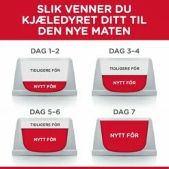 Hill's Science Plan Cat Mature 7+ Sterilized Chicken -Kjæledyrutstyr Salg 2024 hills science plan cat mature 7 sterilized chicken cf