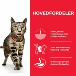 Hill's Science Plan Cat Perfect Weight Chicken -Kjæledyrutstyr Salg 2024 hills science plan cat perfect weight chicken f3