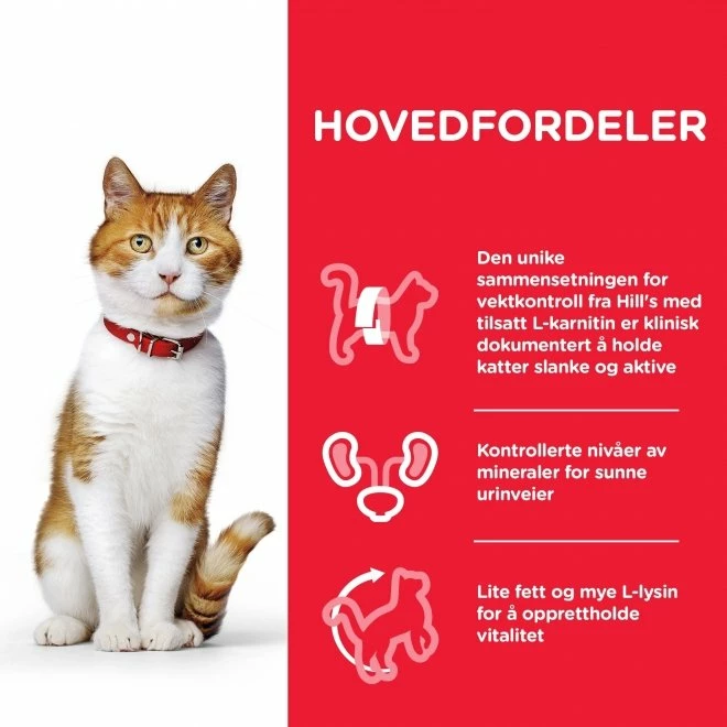 Hill's Science Plan Cat Adult Sterilised Chicken 4 Hill's Science Plan Cat Adult Sterilised Chicken - Bilde 4