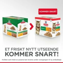 Hill's Science Plan Kitten Chicken & Ocean Fish 12x85 G 7 Hill's Science Plan Kitten Chicken & Ocean Fish 12x85 G -Kjæledyrutstyr Salg 2024 hills science plan kitten chicken ocean fish 12x85 g 7e