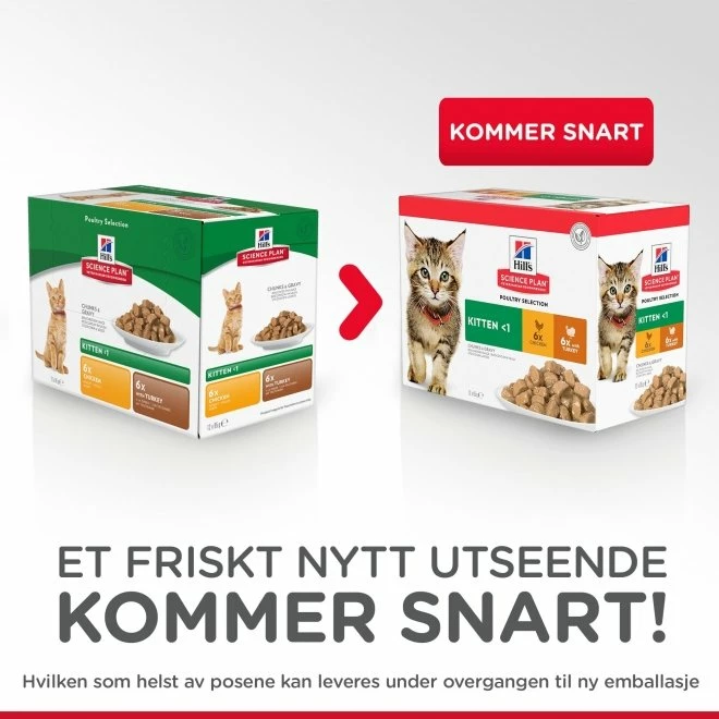 Hill's Science Plan Kitten Chicken & Ocean Fish 12x85 G 3 Hill's Science Plan Kitten Chicken & Ocean Fish 12x85 G - Bilde 3