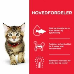 Hill's Science Plan Kitten Tuna -Kjæledyrutstyr Salg 2024 hills science plan kitten tuna 15 kg a6