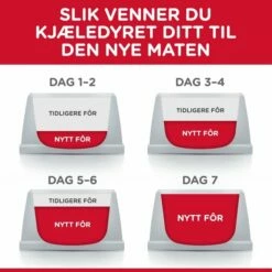 Hill's Science Plan Puppy Large Breed Chicken 14,5 Kg -Kjæledyrutstyr Salg 2024 hills science plan puppy large breed chicken 145 kg 5a