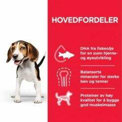 Hill's Science Plan Puppy Medium Chicken -Kjæledyrutstyr Salg 2024 hills science plan puppy medium chicken 76