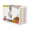 Hill's Science Plan Cat Adult Sterilised Salmon & Chicken 12x85 G
