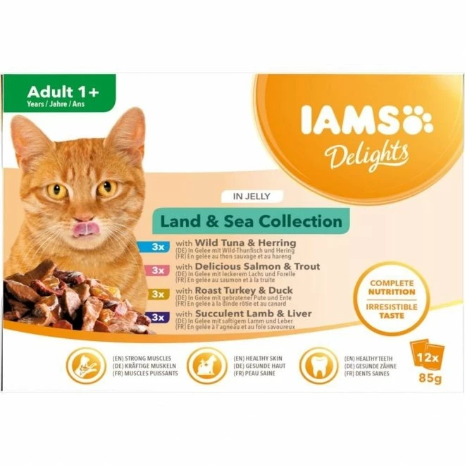 Iams Delights In Jelly Multipack Land & Sea 12x85 G 1 Iams Delights In Jelly Multipack Land & Sea 12x85 G