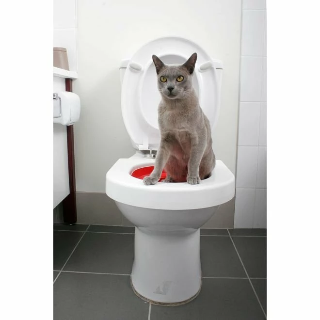 Litter Kwitter 1 Litter Kwitter