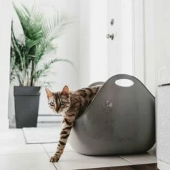 LitterLocker Kattetoalett Med Spade 13 LitterLocker Kattetoalett Med Spade -Kjæledyrutstyr Salg 2024 litterlocker kissan hiekkalaatikko 1a