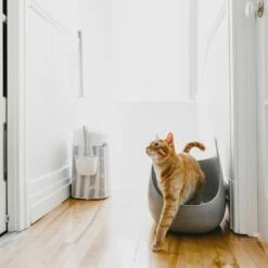 LitterLocker Kattetoalett Med Spade 12 LitterLocker Kattetoalett Med Spade -Kjæledyrutstyr Salg 2024 litterlocker kissan hiekkalaatikko fe