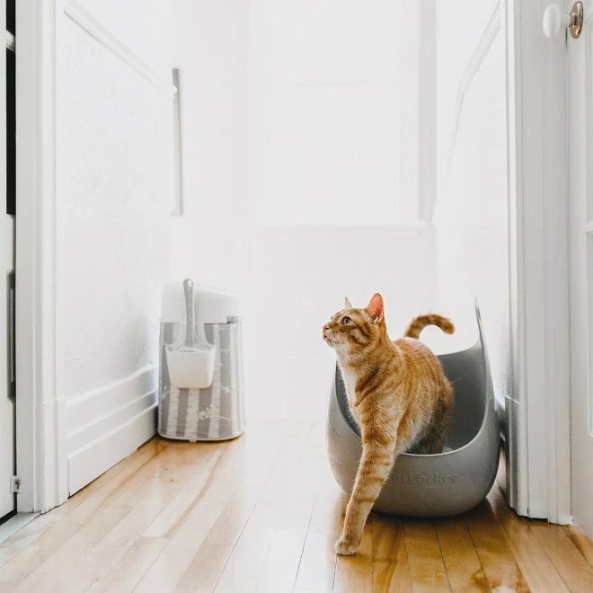 LitterLocker Kattetoalett Med Spade 6 LitterLocker Kattetoalett Med Spade - Bilde 6