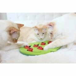 Nina Ottosson Buggin’Out Puzzle&Play Katteleke 7 Nina Ottosson Buggin’Out Puzzle&Play Katteleke -Kjæledyrutstyr Salg 2024 nina ottosson cat bugginout puzzle play gron 22