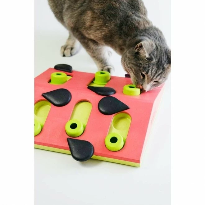 Nina Ottosson Melon Madness Puzzle And Play Katteleke 6 Nina Ottosson Melon Madness Puzzle And Play Katteleke - Bilde 6