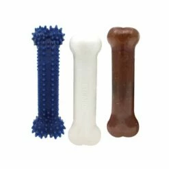 Nylabone Puppy Starter Kit