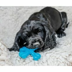 Nylabone Puppy Teething X Okse, XS 7 Nylabone Puppy Teething X Okse, XS -Kjæledyrutstyr Salg 2024 nylabone puppy teething x biff xs 1c