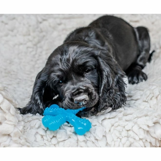 Nylabone Puppy Teething X Okse, XS 3 Nylabone Puppy Teething X Okse, XS - Bilde 3