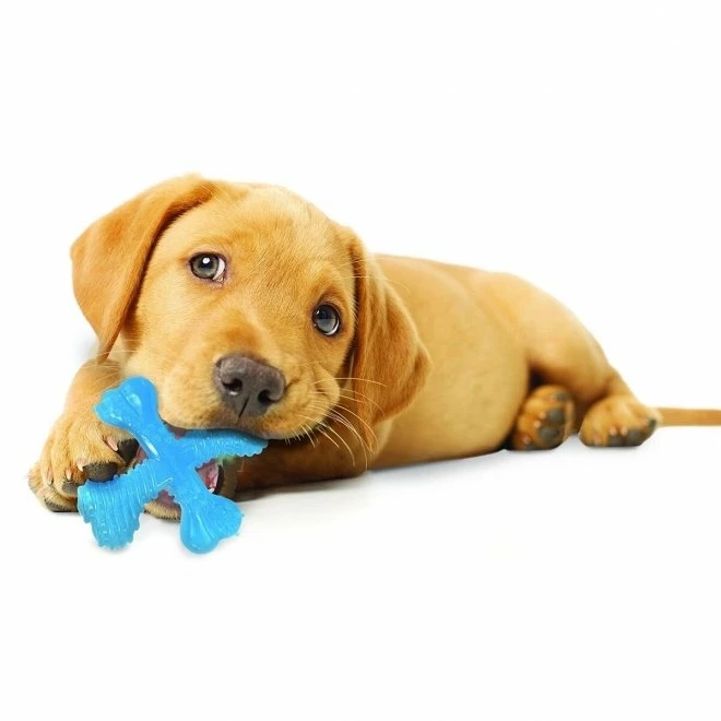 Nylabone Puppy Teething X Okse, XS 2 Nylabone Puppy Teething X Okse, XS - Bilde 2