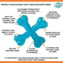 Nylabone Puppy Teething X Okse, XS 9 Nylabone Puppy Teething X Okse, XS -Kjæledyrutstyr Salg 2024 nylabone puppy teething x biff xs eb
