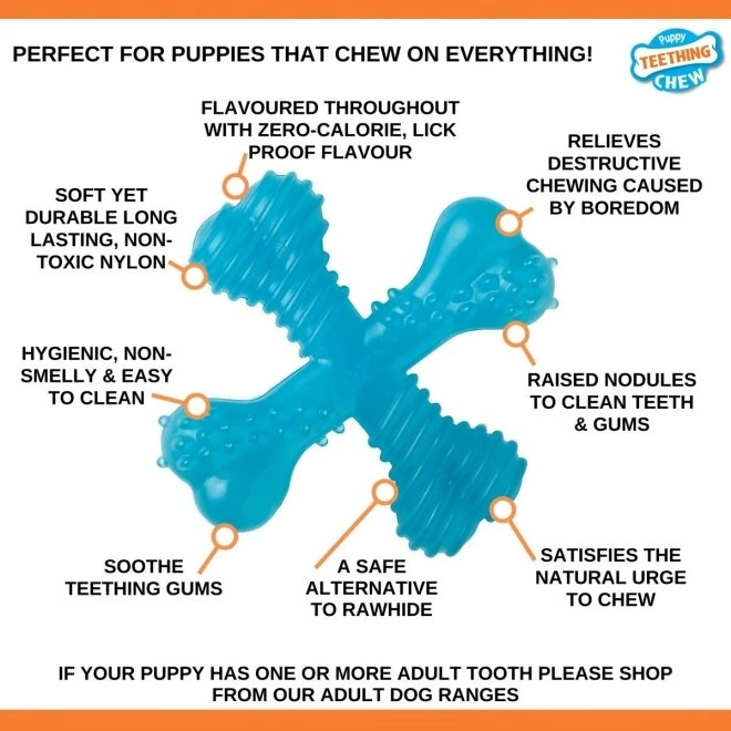 Nylabone Puppy Teething X Okse, XS 5 Nylabone Puppy Teething X Okse, XS - Bilde 5
