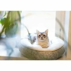 Kjæledyrutstyr Salg 2024 -Kjæledyrutstyr Salg 2024 peti resploot pyorea az e8