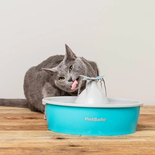 Petsafe Butterfly Drikkefontene 1,5 Liter 4 Petsafe Butterfly Drikkefontene 1,5 Liter - Bilde 4