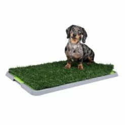 Little&Bigger Indoor Potty Patch