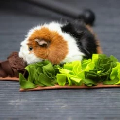 Rosewood Tree Snusematte Til Smådyr -Kjæledyrutstyr Salg 2024 rosewood aktivointimatto joulukuusi az c5