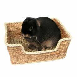 Rosewood Chill'n'Snooze Seng Stor