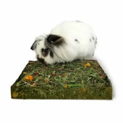 Rosewood Nibble'n'Dig Meadow Engshøy -Kjæledyrutstyr Salg 2024 rosewood nibblendig herkkuniitty 4e