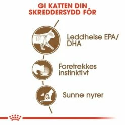 Royal Canin Ageing +12 In Gravy 12x85 G -Kjæledyrutstyr Salg 2024 royal canin ageing 12 in gravy 12 x 85 g 89