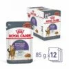 Royal Canin Appetite Control Gravy 12x85g
