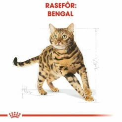 Royal Canin Bengal -Kjæledyrutstyr Salg 2024 royal canin bengal 36