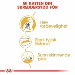 Royal Canin Bengal -Kjæledyrutstyr Salg 2024 royal canin bengal 98