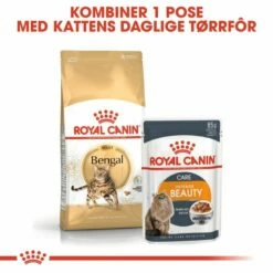 Royal Canin Bengal -Kjæledyrutstyr Salg 2024 royal canin bengal a6